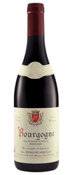 2023 Alain Hudelot-Noëllat Bourgogne