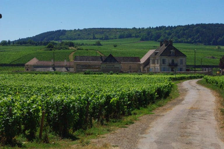 1989 Chenu-Lefebvre Savigny-lès-Beaune 1er Cru Les Guettes