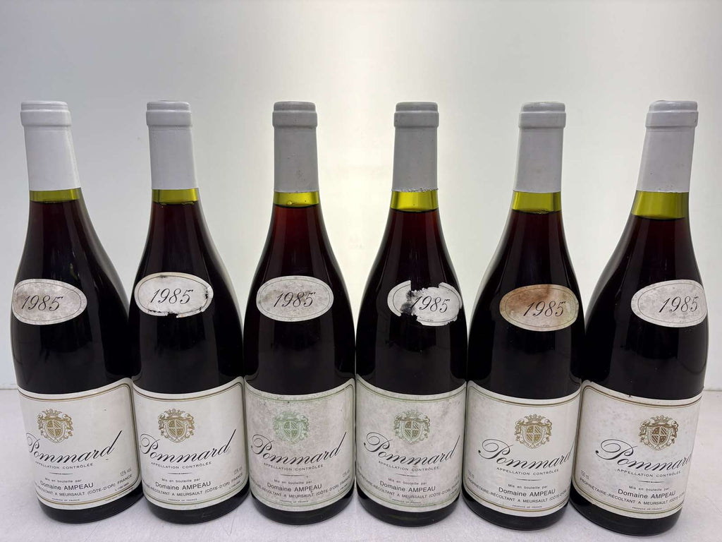 1985 Robert Ampeau & Fils Pommard