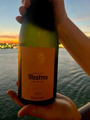 NV Mestres Cava Brut Nature Rosat (2021)