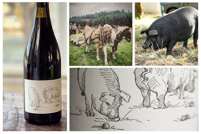 2024 Big Table Farm Pinot Noir Willamette Valley