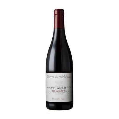 2016 Domaine Alain Michelot Nuits St. Georges 1er Cru Les Vaucrains